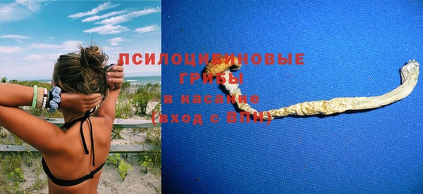 гашик Киреевск