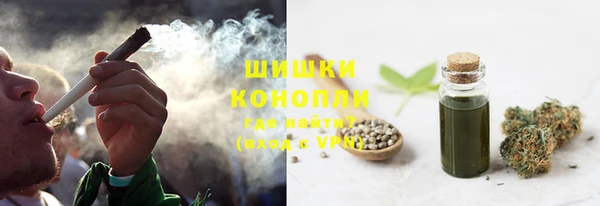 стаф Кинешма