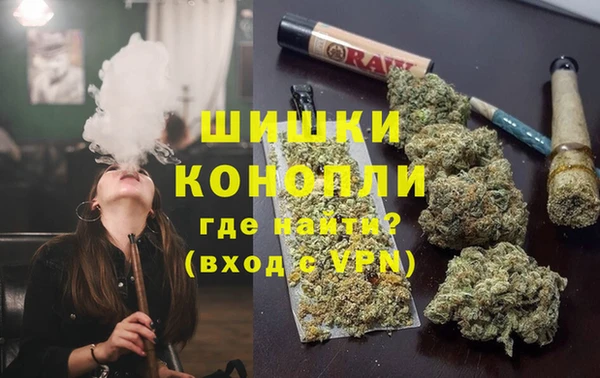стаф Кинешма