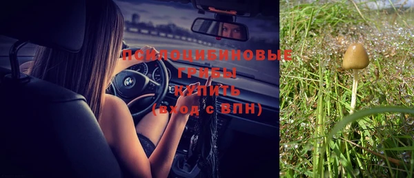 стафф Киренск