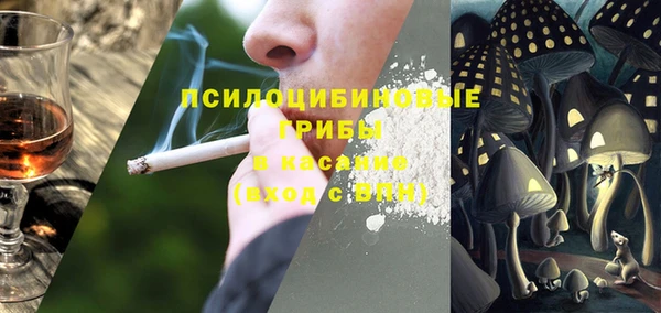 стаф Кинешма