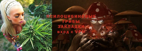 a pvp Щучье