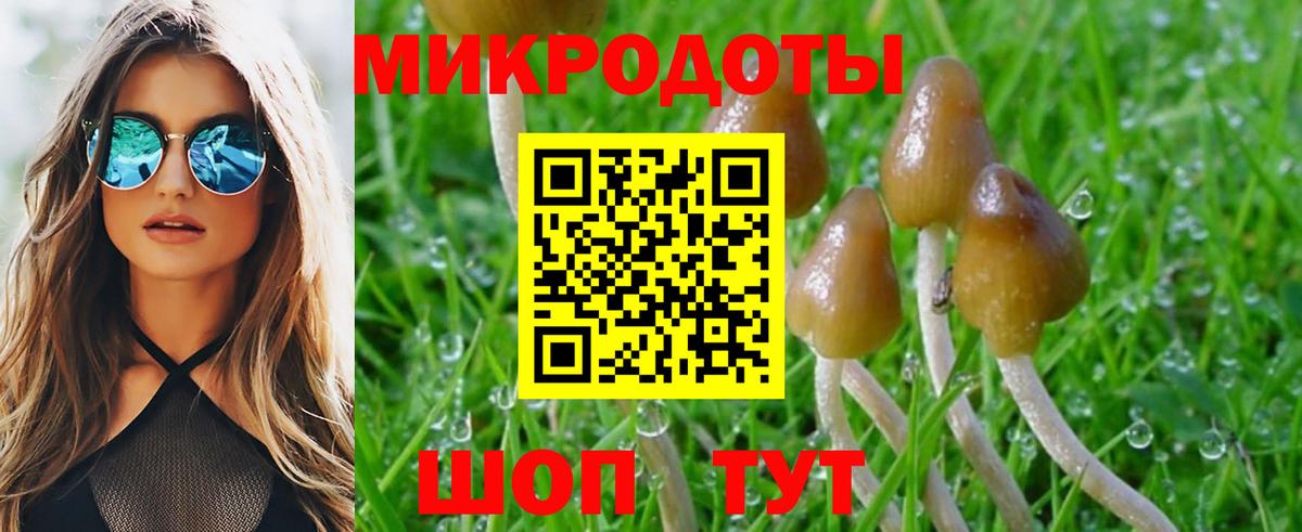 Лабинск  Галлюциногенные грибы ЛСД  Вход с VPN 